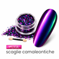 scaglie/polvere camaleontica fuxia (alta qualità)