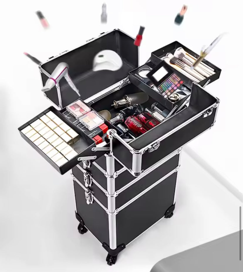 Trolley 3 in 1