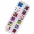 set da 12 pz fiori secchi (petali)