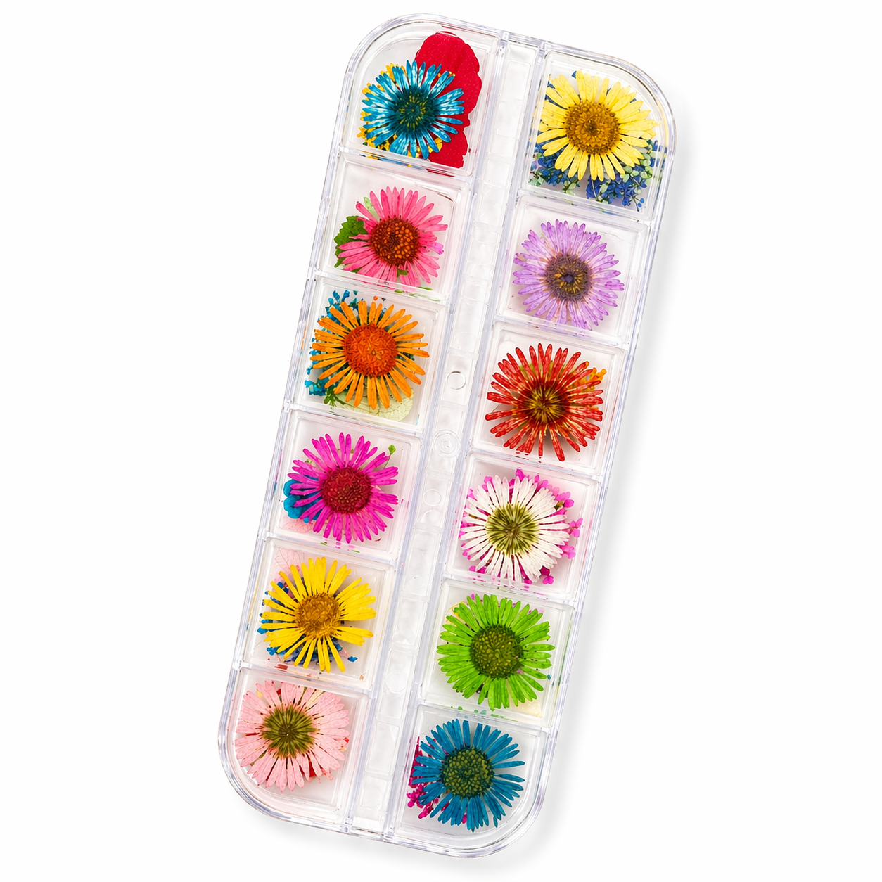 set da 12 pz fiori secchi (Margherite)