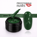 gel color paint 79 (senza dispersione)
